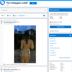 Reddit Ass, Reddit NSFW List