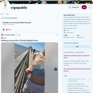 Reddit Gone Wild Public, Reddit NSFW List