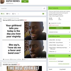 Reddit NSFW Memes, Funny Porn Sites