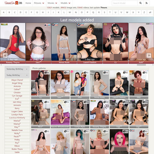 ShemaleStarDB, Pornstar Databases