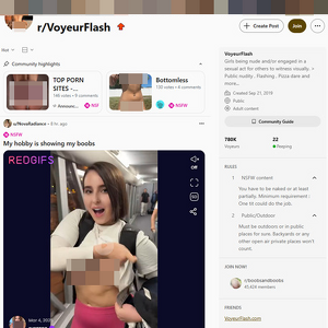 Reddit VoyeurFlash, Reddit NSFW List