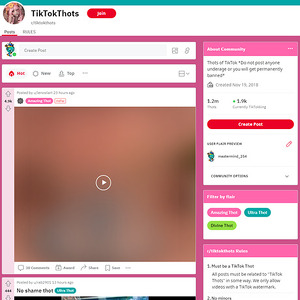Reddit TikTokThots, TikTok Porn Sites