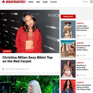 Egotastic, Celebrity Porn Sites